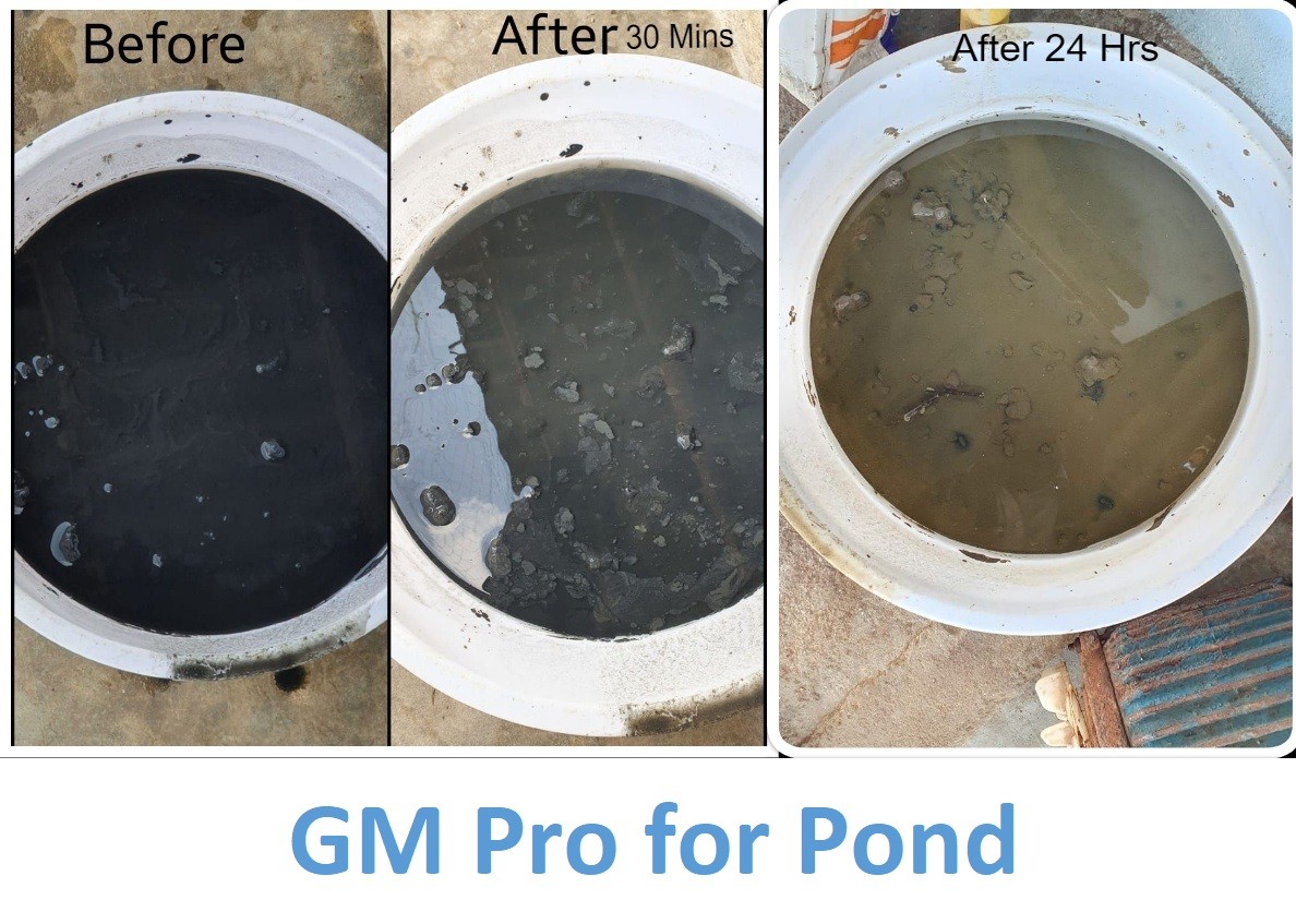 gmpro